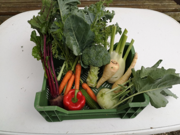 KW Frischebox Gemüse & Kohl